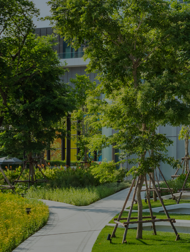 Vision of Sustainability & Smart City